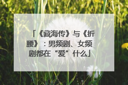 《藏海传》与《折腰》：男频剧、女频剧都在“爱”什么