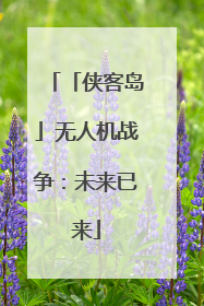 「侠客岛」无人机战争：未来已来