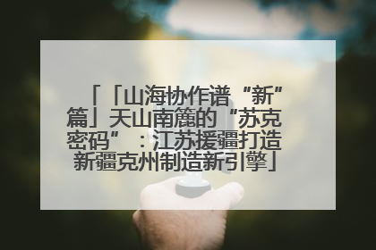 「山海协作谱“新”篇」天山南簏的“苏克密码”：江苏援疆打造新疆克州制造新引擎