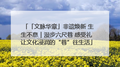「文脉华章」非遗焕新 生生不息｜漫步六尺巷 感受礼让文化浸润的“巷”往生活