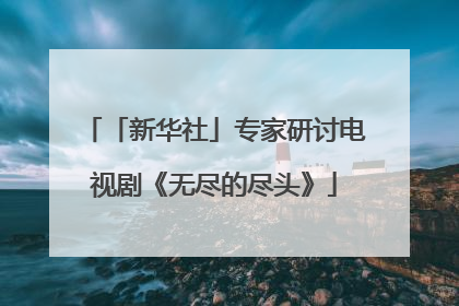 「新华社」专家研讨电视剧《无尽的尽头》