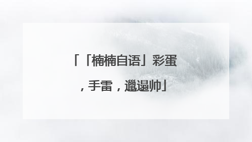 「楠楠自语」彩蛋，手雷，邋遢帅