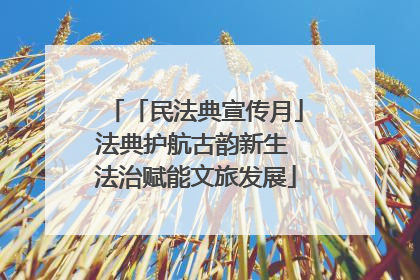 「民法典宣传月」法典护航古韵新生 法治赋能文旅发展