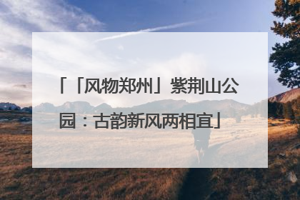 「风物郑州」紫荆山公园：古韵新风两相宜