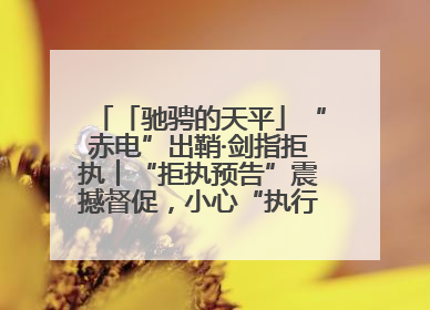 「驰骋的天平」“赤电”出鞘·剑指拒执︱“拒执预告”震撼督促，小心“执行”变“执刑”