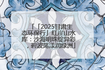 「2025甘肃生态环保行」红崖山水库：沙海明珠绽异彩，碧波荡漾润绿洲
