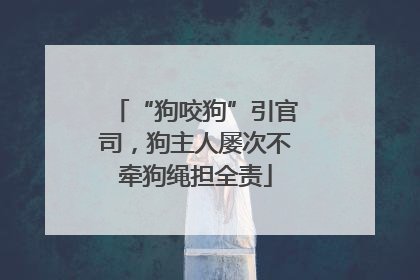 “狗咬狗”引官司，狗主人屡次不牵狗绳担全责