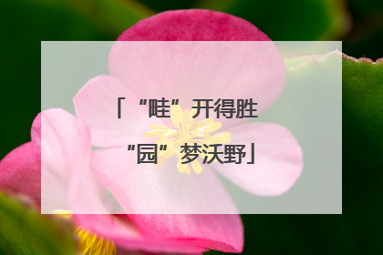 “畦”开得胜 “园”梦沃野