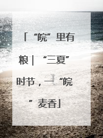 “皖”里有粮｜“三夏”时节，一“皖”麦香