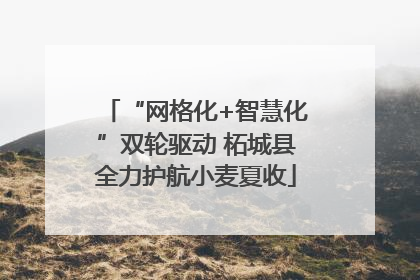 “网格化+智慧化”双轮驱动 柘城县全力护航小麦夏收