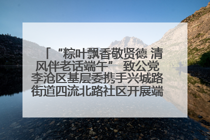 “粽叶飘香敬贤德 清风伴老话端午” 致公党李沧区基层委携手兴城路街道四流北路社区开展端午节主题活动