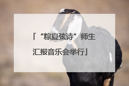 “粽夏弦诗”师生汇报音乐会举行