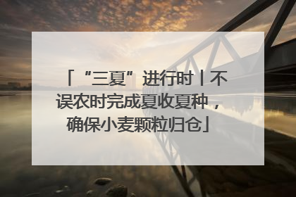 “三夏”进行时丨不误农时完成夏收夏种，确保小麦颗粒归仓