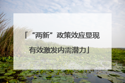 “两新”政策效应显现 有效激发内需潜力