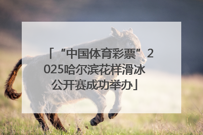 “中国体育彩票”2025哈尔滨花样滑冰公开赛成功举办