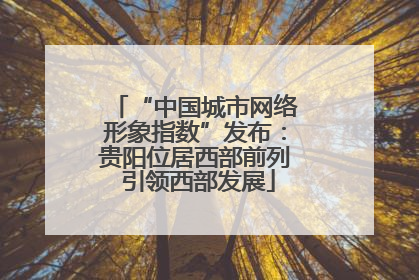“中国城市网络形象指数”发布：贵阳位居西部前列 引领西部发展