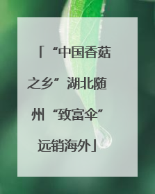 “中国香菇之乡”湖北随州“致富伞”远销海外