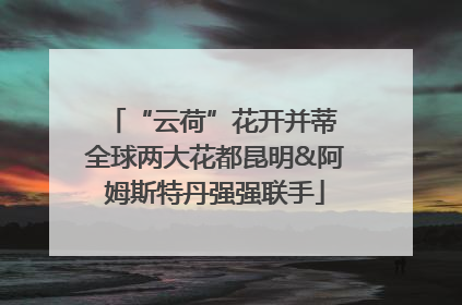 “云荷”花开并蒂 全球两大花都昆明&阿姆斯特丹强强联手