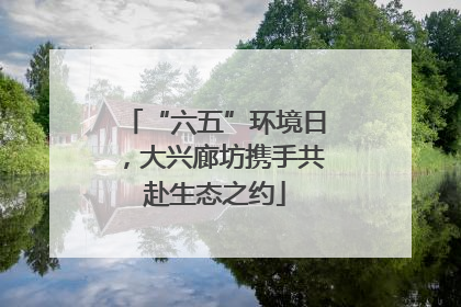 “六五”环境日，大兴廊坊携手共赴生态之约
