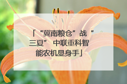 “冀南粮仓”战“三夏” 中联重科智能农机显身手