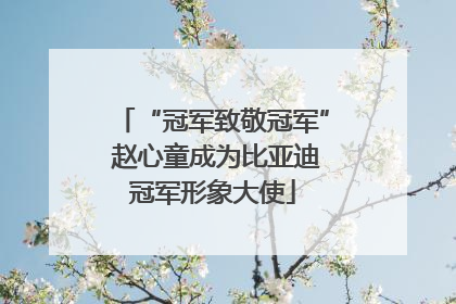 “冠军致敬冠军” 赵心童成为比亚迪冠军形象大使