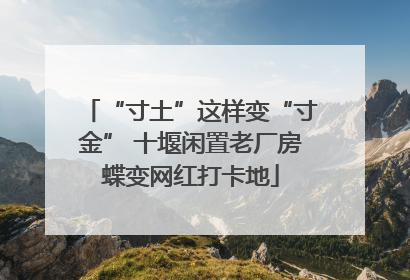 “寸土”这样变“寸金” 十堰闲置老厂房蝶变网红打卡地