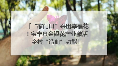 “家门口”采出幸福花！宝丰县金银花产业激活乡村“造血”功能