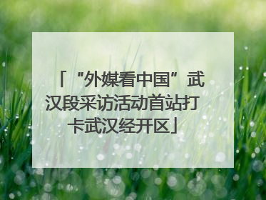 “外媒看中国”武汉段采访活动首站打卡武汉经开区