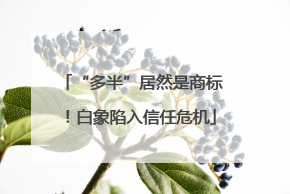 “多半”居然是商标！白象陷入信任危机