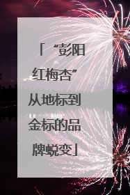 “彭阳红梅杏”从地标到金标的品牌蜕变