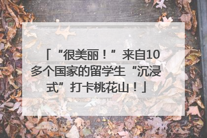 “很美丽！”来自10多个国家的留学生“沉浸式”打卡桃花山！