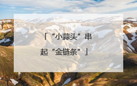 “小蒜头”串起“金链条”