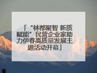 “林都聚智 新质赋能”民营企业家助力伊春高质量发展主题活动开幕