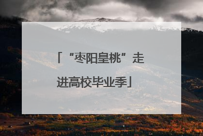 “枣阳皇桃”走进高校毕业季