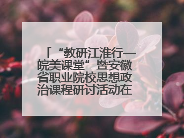 “教研江淮行—皖美课堂”暨安徽省职业院校思想政治课程研讨活动在芜湖高级职业技术学校举行