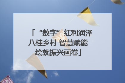 “数字”红利润泽八桂乡村 智慧赋能绘就振兴画卷