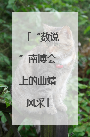 “数说”南博会上的曲靖风采
