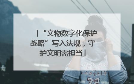 “文物数字化保护战略”写入法规，守护文明需担当