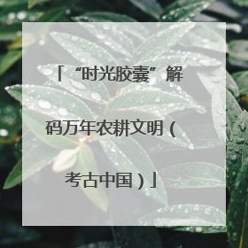 “时光胶囊”解码万年农耕文明（考古中国）