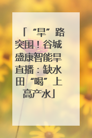 “旱”路突围！谷城盛康智能旱直播：缺水田“喝”上高产水
