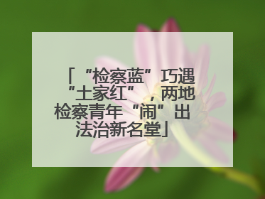 “检察蓝”巧遇“土家红”，两地检察青年“闹”出法治新名堂