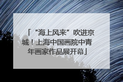“海上风来”吹进京城！上海中国画院中青年画家作品展开幕
