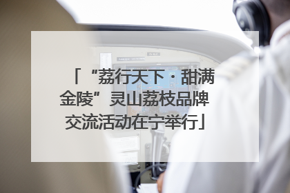 “荔行天下・甜满金陵”灵山荔枝品牌交流活动在宁举行
