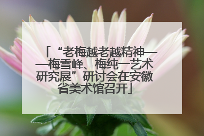 “老梅越老越精神——梅雪峰、梅纯一艺术研究展”研讨会在安徽省美术馆召开