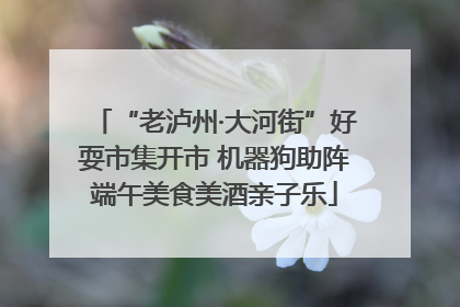 “老泸州·大河街”好耍市集开市 机器狗助阵端午美食美酒亲子乐