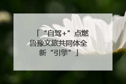 “自驾+”点燃鲁豫文旅共同体全新“引擎”