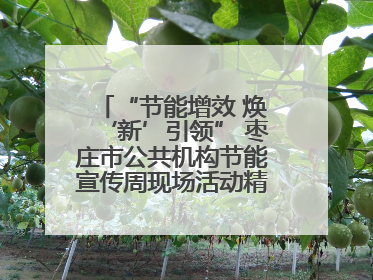 “节能增效 焕‘新’引领” 枣庄市公共机构节能宣传周现场活动精彩纷呈