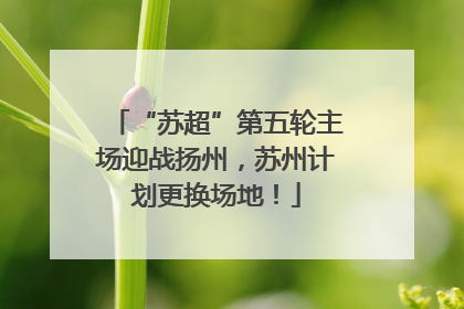 “苏超”第五轮主场迎战扬州，苏州计划更换场地！