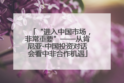 “进入中国市场，非常重要”——从肯尼亚-中国投资对话会看中非合作机遇