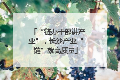 “链办干部讲产业”，长沙产业“链”就高质量